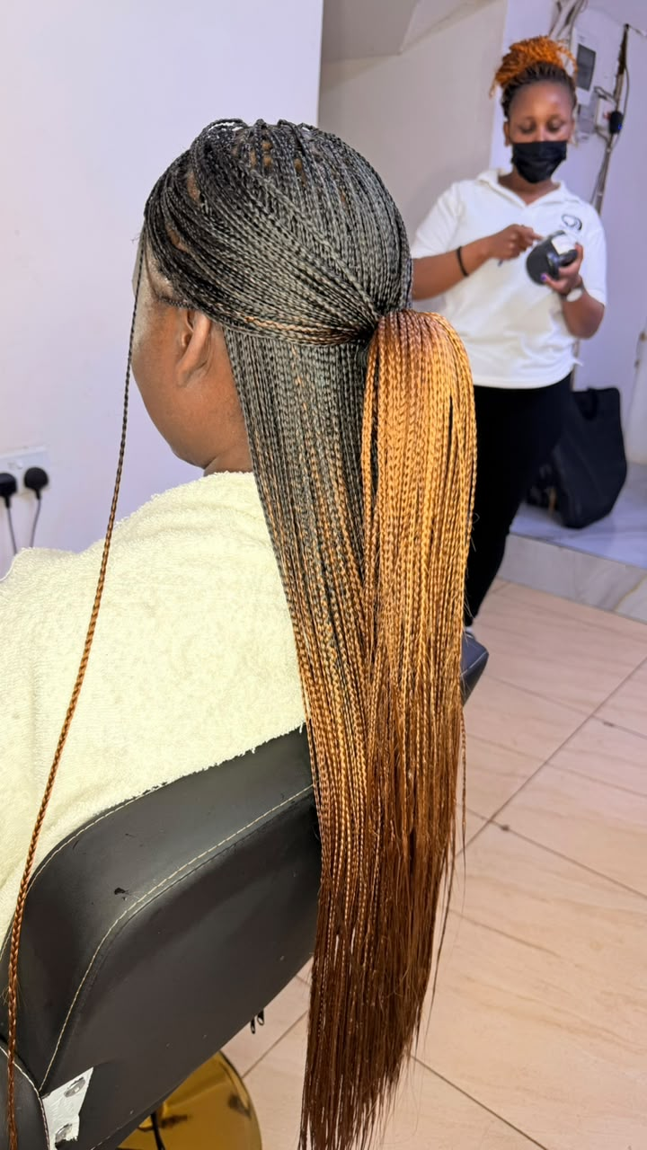 Ombre micro braids styled in a sleek ponytail